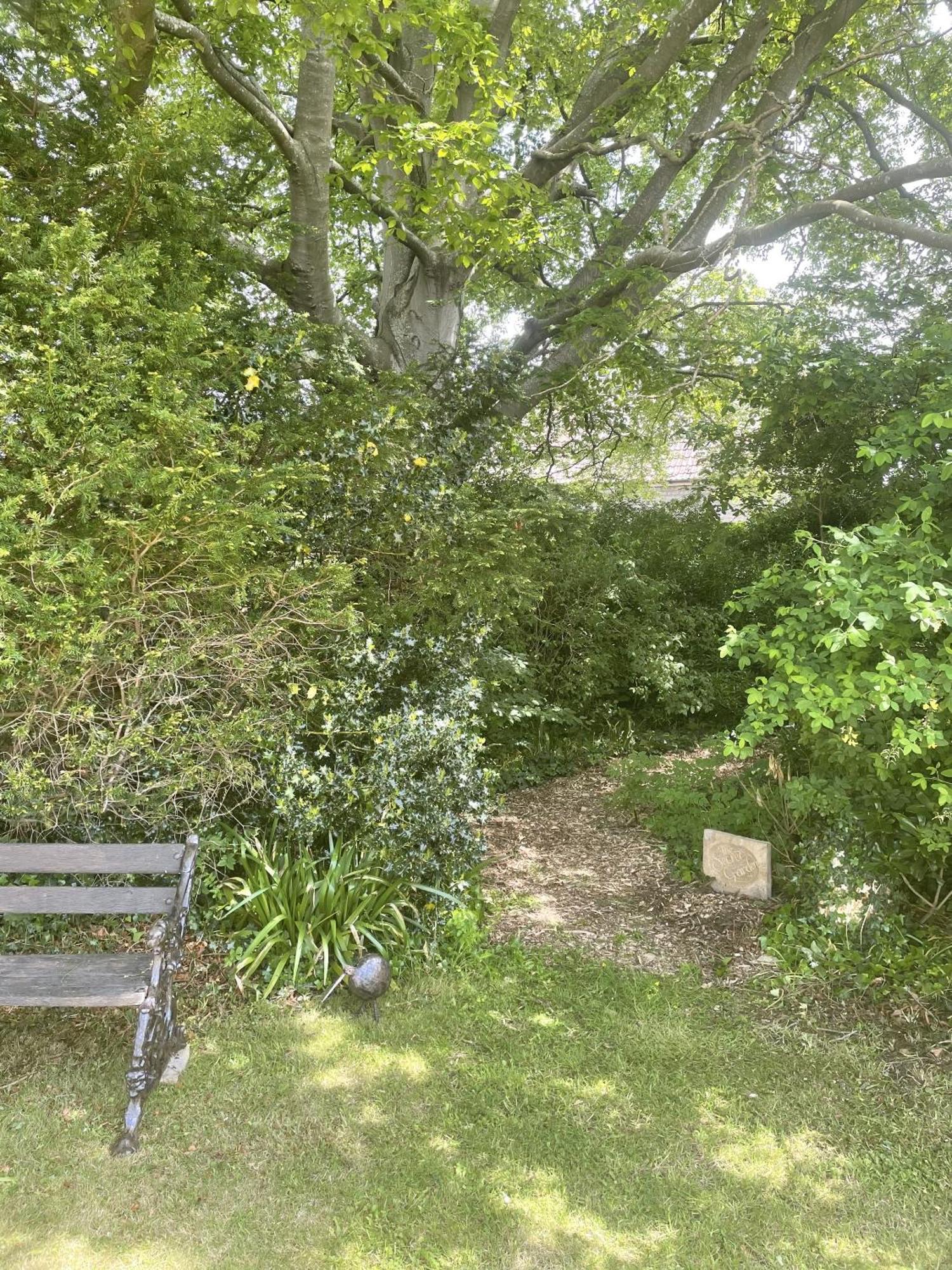 The Mount Somerton Retreat - Nr Bruton, Glastonbury, The Spectacular Wells Cathedral, Millfield School, Leonardo Helicopters, Yeovilton Екстериор снимка