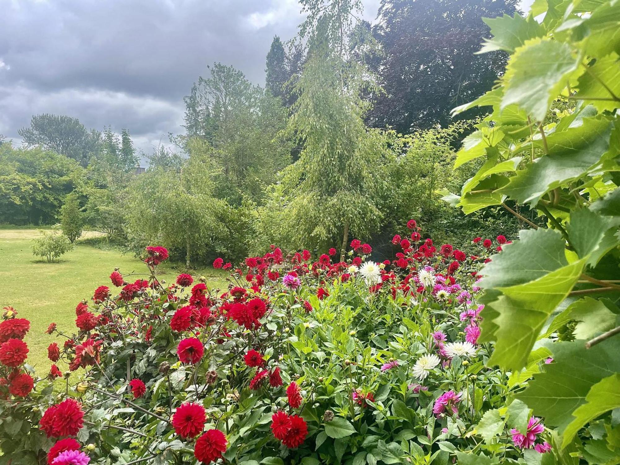 The Mount Somerton Retreat - Nr Bruton, Glastonbury, The Spectacular Wells Cathedral, Millfield School, Leonardo Helicopters, Yeovilton Екстериор снимка